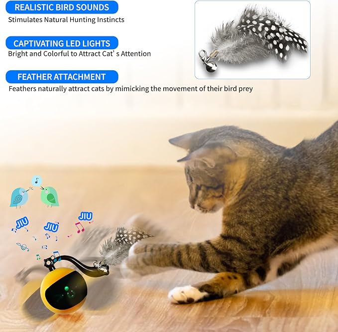 Interactive Cat Toy Ball with Remote Control, Automatic Moving & Rolling Cat Feather Toy, USB Rechargeable, Motion Activated Remote Control Cat Toy for Indoor Cats