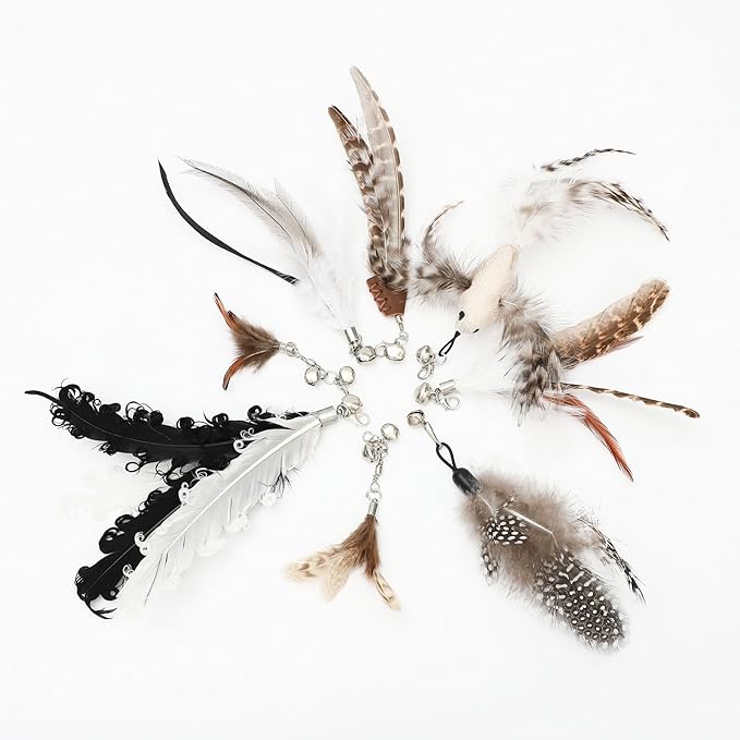 8 Pieces Cat Feather Toys Replacement Cat Toy Wand Refills Cat Toy Replacement Natural Bird Feathers for Cat Toys