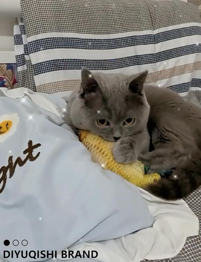 Cat Toys – 14PCS Set with Organic Catnip for Indoor Cats – Sturdy, Safe, and Fun Toys for Cats