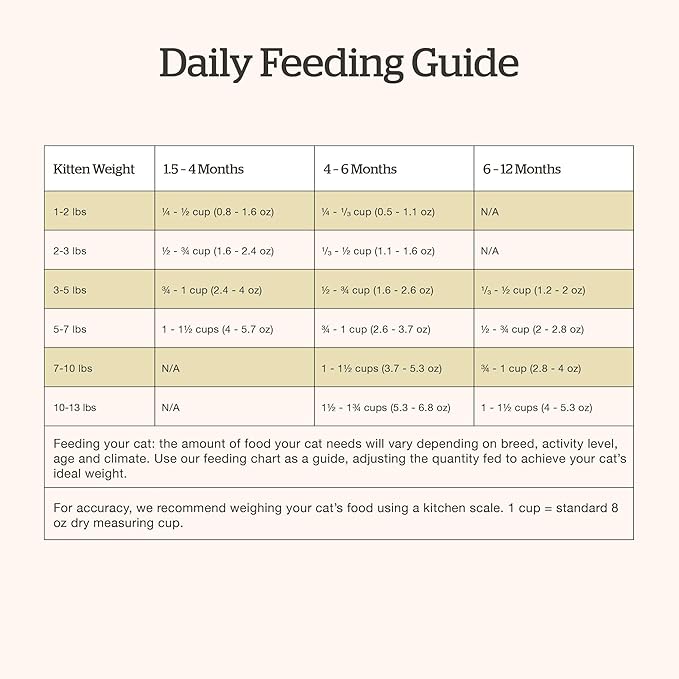 Now Fresh Grain-Free, Dry Cat Food, Turkey, Salmon and Duck Kibble, Real Meat and Fish Kitten Recipe, 3 lb Bag