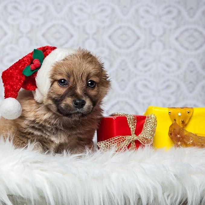 Fluffy Small Dog Cat Bed Mat Rug, Washable Super Soft Plush Faux Fur Warm Area Mat Pad for Indoor Pet Cat Dog Small Sleep Cushion