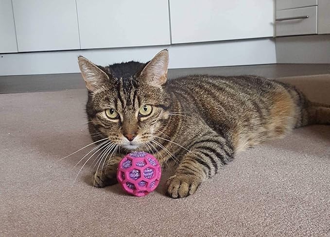 JW Pet Company Cataction Rattle Ball, Cat Toy