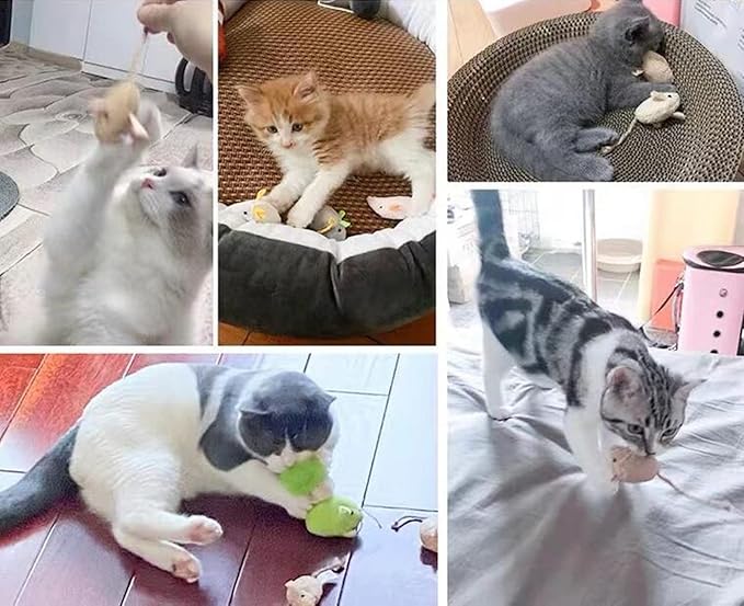 ISMARTEN Catnip Toy, Cats Mouse Plush Cat Toys, Cat Mice & Animals Toys for Indoor Cats and Kittens, Cat Chew Toy for Exercise for Pet Cat Kitten Kitty (6 Packs)
