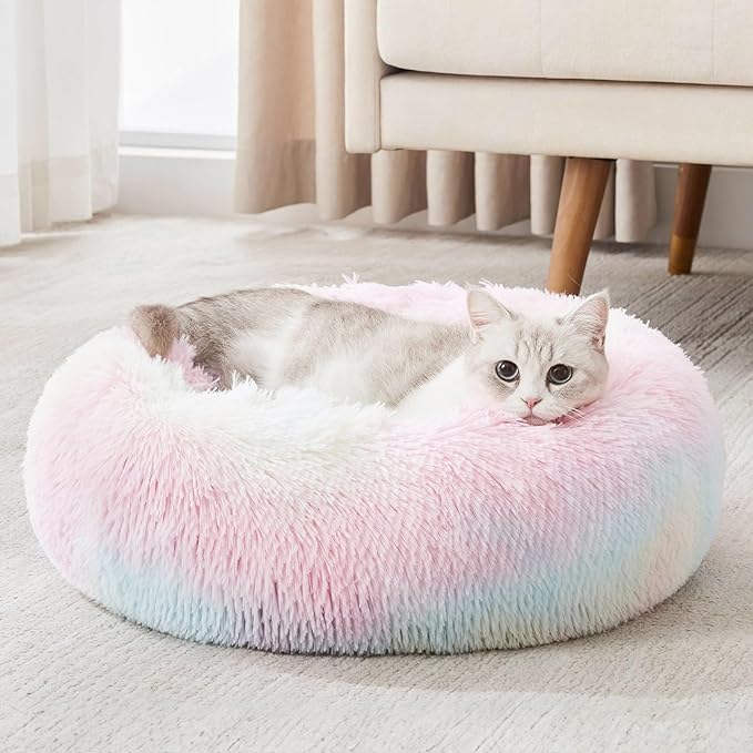 Soft PP Cotton Filling for Warmth and Comfort, Perfect for Small Dogs and Cats, Indoor Love Life Bliss(Colorful)