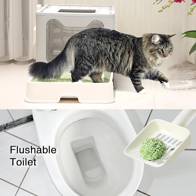 BLUERISE Tofu Cat Litter 6LB×2Bags Natural Cat Litter Flushable Toilet Quick Clumping Dust Free Odor Control Kitty Litter (Green Tea)