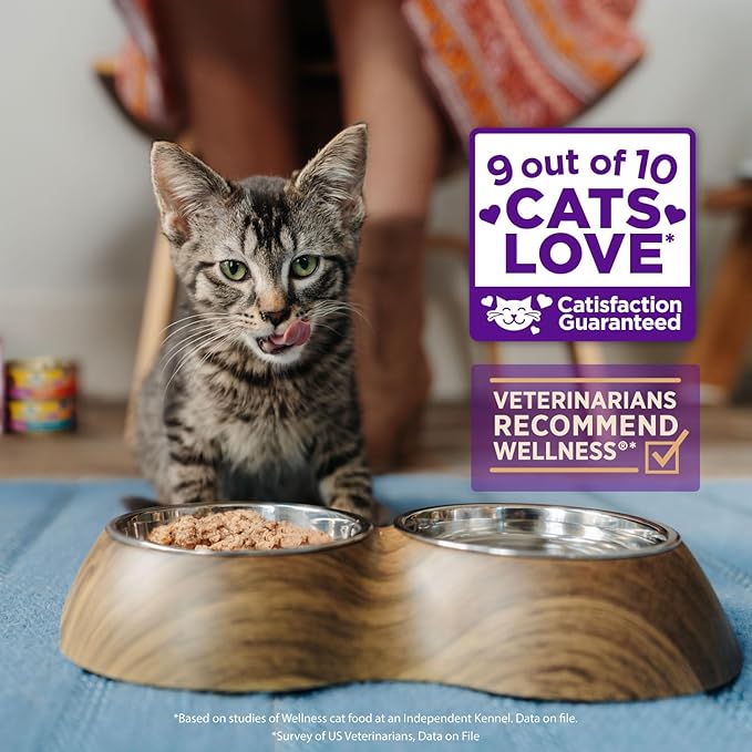 Wellness Complete Health Healthy Indulgence Gravy Adult Wet Cat Food, Natural, Protein-Rich, Grain Free, 3 Ounce Pouches, 24 Pack, (Tuna & Mackeral)