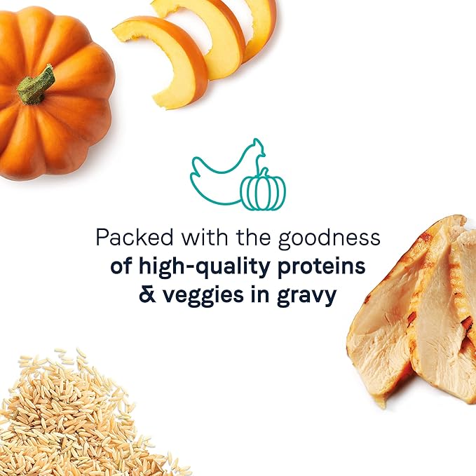 Canidae Balanced Bowl Wet Cat Food, Chicken & Pumpkin Recipe, 3 oz. (Case of 24)