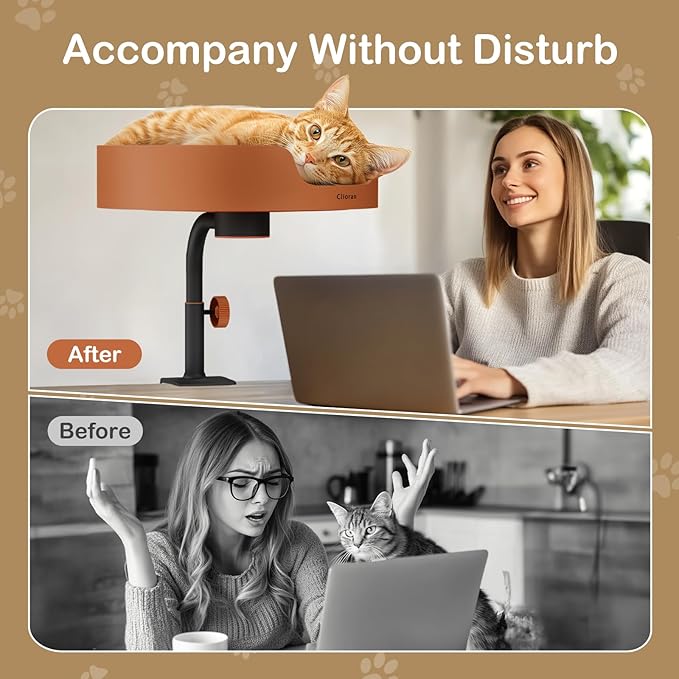 Cat Bed Desk Nest with Teaser,Easy Installation Shelf,Sturdy Frame,Removable Cushioned Cushion, Space Saving Design,Ideal for Side Table,Home Office,Fits Cats