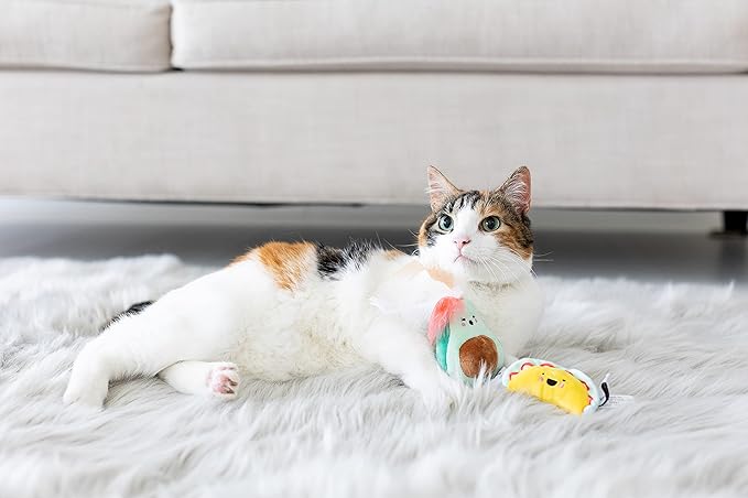 Pearhead Taco Time Cat Toy Set, Crinkle and Feather Catnip Cat Toy Set, Cat Owner Playtime Pet Accessory, Pet Toys, Cat Teaser Toys, Cat Owner Pet Toy Sets, Must Have Pet Accessories for Pet Owners