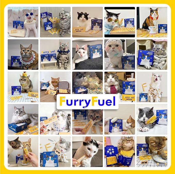 5-in-1 Cat Probiotic Powder Supplement, Vet-Formulated Probiotics + Prebiotics, 5 Billion CFUs for Digestive Support & Health | Cat Vitamins, Nutritions 30 Sticks (Chicken, No Corn or Wheat)