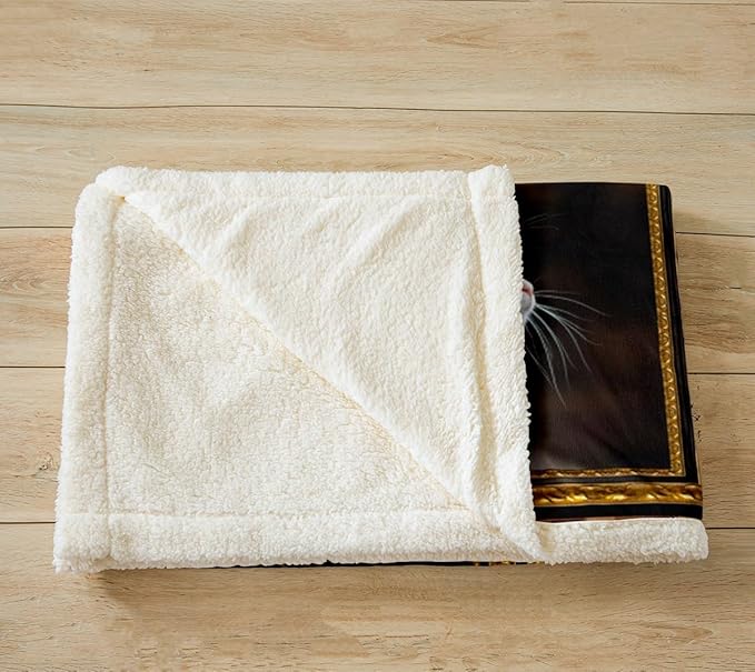 Feelyou Holstein Cat Fleece Throw Blanket for Bed Sofa Couch Cute Cat Plush Blanket Baby 30"x40" Kawaii Kitten Sherpa Blanket Gift for Holstein Cat Lover Fuzzy Blanket Flannal Blanket