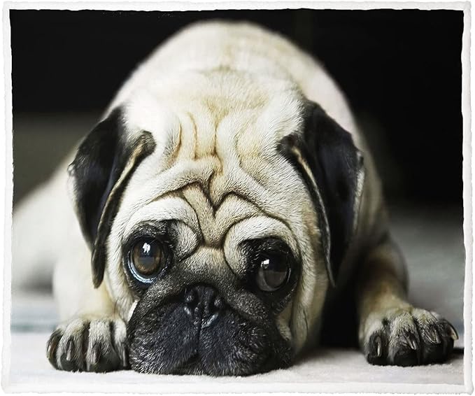 Pug Sherpa Blanket, Dog Print Fleece Throw Blankets for Couch Sofa Bed, Super Soft Warm and Lightweight, 50" x 60"