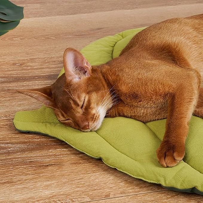 Plush Polypropylene Pet Bed Mat for Cats and Dogs, Green Leaf Style, 70x60x6cm