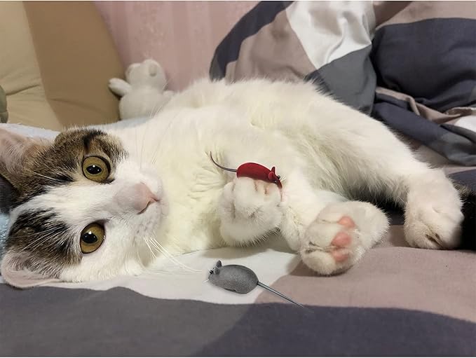 Andiker 3 Pcs Cat Mouse Toy, Flocking Squeaking Mouse Cat Toy 3 Random Colors Soft Small Cat Toys for Indoor Cats Interactive Cat Toy for Cats and Kitten to Catch and Bit (3pcs)