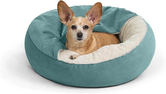 Best Friends by Sheri Cozy Cuddler Ilan Covered Cat and Dog Bed with Attached Blanket, Tide Pool Blue, 24"x24"