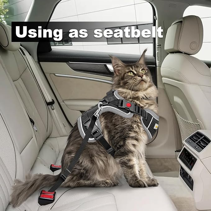 Cat Harness and Leash for Walking, Retractable Cat Harnesses and Leash Set Escape Proof, Breathable Soft Kitten Harness Small Large Cat Harness for Travel Training and Walking, Grey, XXS