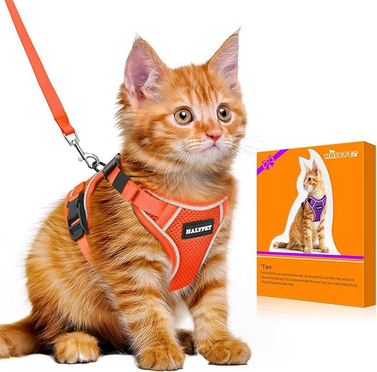 Halypet Cat Harness and Leash Set [MAX Safety 4th-Gen Upgrade] Escape Proof Adjustable Cat Leash Comfortable Soft Vest Easy to Wear Kitten Harness with Reflective Strip for Cats Walking, XS Orange