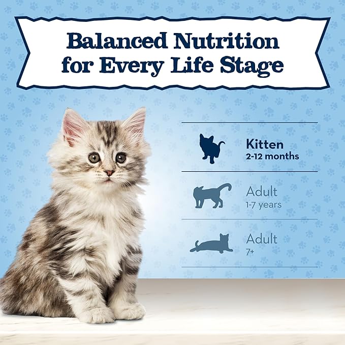 Blue Buffalo Baby BLUE Natural Kitten Grain-Free Dry Cat Food, High-Protein Healthy Growth Formula with DHA, Savory Chicken, 2-lb. Bag