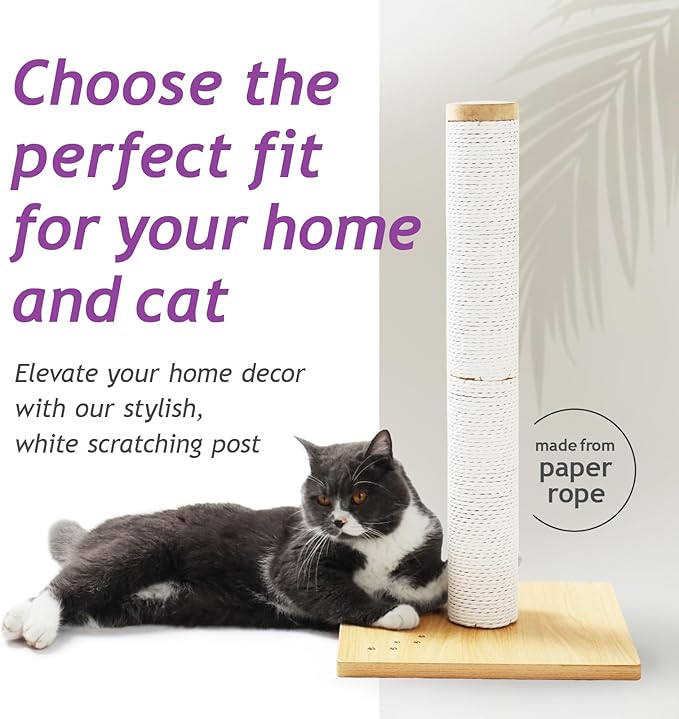 Necoichi 23.6” Tall Cat Scratching Post Kitten Scratcher Paper Rope Scratch Posts Trees with Hanging for Indoor Cats (23.6 inches for Kitty, Regular, Oak)