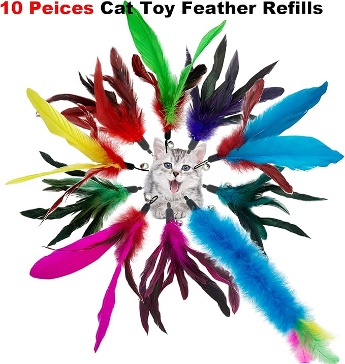 Cat Feather Toy Refill Cat Feathers Wand Replacement, 10 PCS Feather Cat Toy Refills, Interaction Feather Cat Toy for Indoor Cats