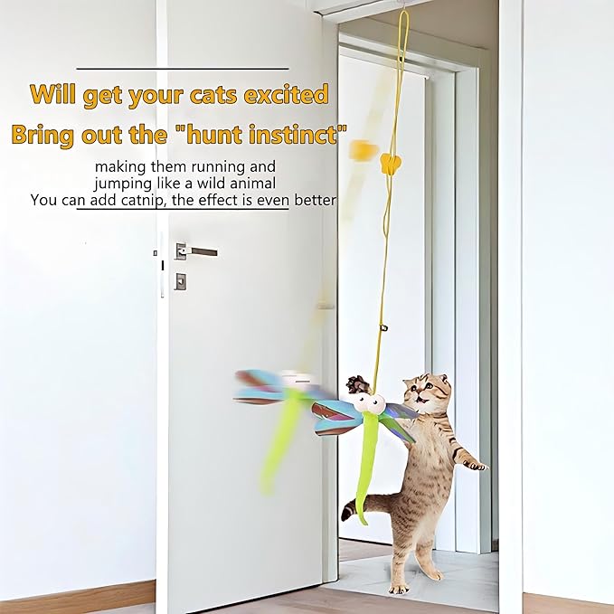 Kalimdor Interactive Cat Feather Toys 5pack,Retractable Teaser Toy,Hanging Interactive Toys for Indoor Cats Kitten Play Chase Exercise, Kitten Mental Exercise Toys