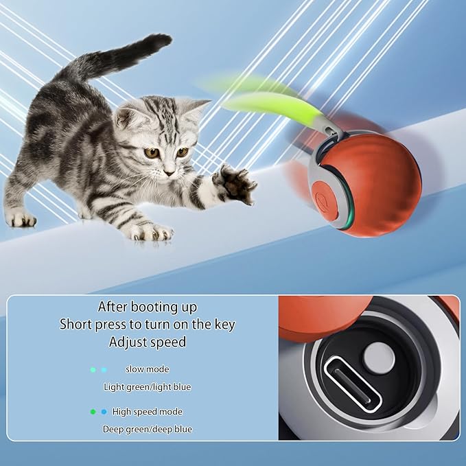 Interactive Cat Toy Ball, Automatic Moving Cat Ball Toy with Feather Tail, Indoor Smart Cat Toys, Motorised Cat Toys for Chasing & Hunting