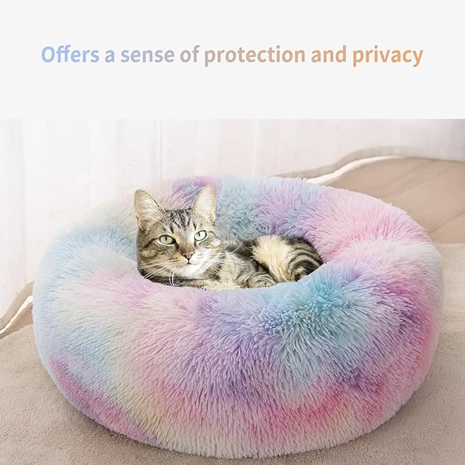 Soft PP Cotton Filling for Warmth and Comfort, Perfect for Small Dogs and Cats, Indoor Love Life Bliss(Colorful)