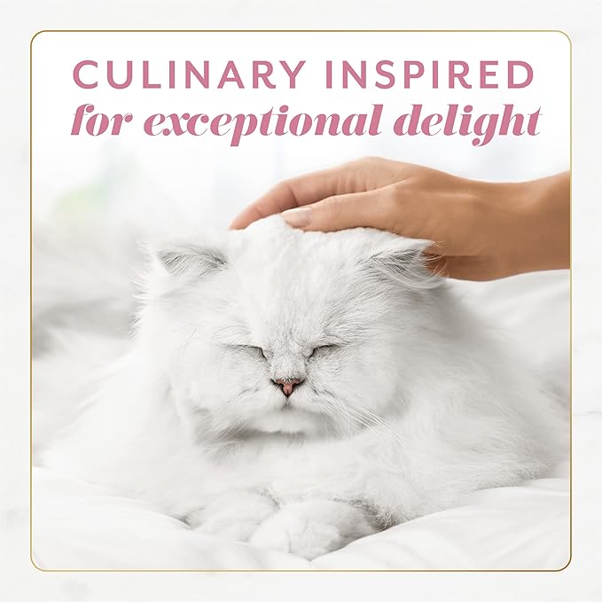 Fancy Feast Gems Pate Cat Food Mousse With Salmon and a Halo of Savory Gravy Cat Food - (Pack of 8) 4 oz. Boxes