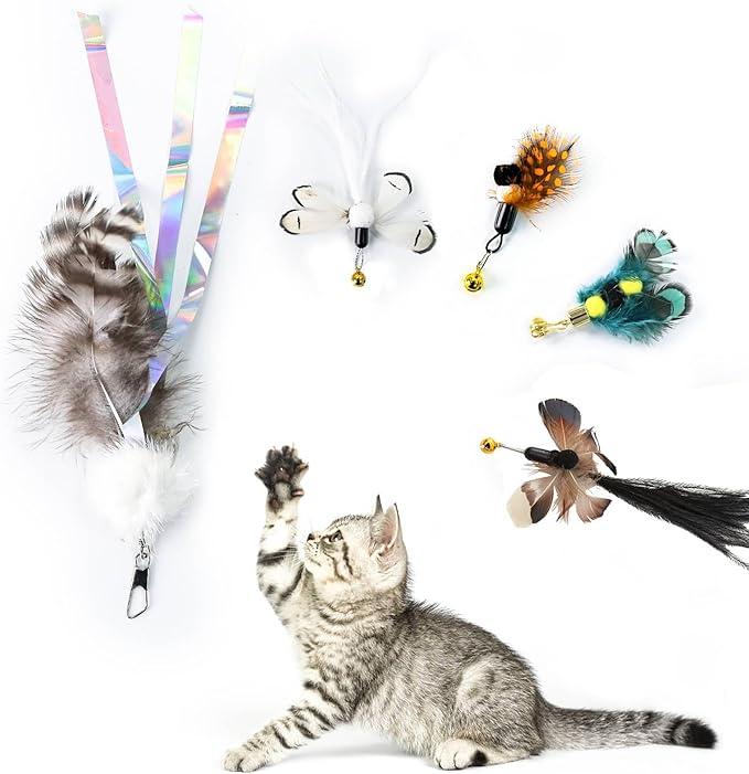 Cat Insect Feather Toys Replacement Cat Toy Wand Refills, 6 Pieces Natural Insect Cat Toy Feathers Refill, Interactive Cat Teaser Wand Attachments, with Bell