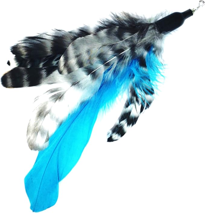 Pet Fit For Life Retractable Wand with 2 Feathers For Your Cat and Kitten - Cat Toy Interactive Cat Wand