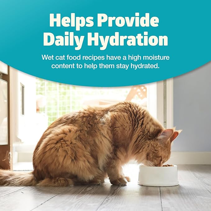 Blue Buffalo Freedom Grain-Free Adult Wet Cat Food, Complete & Balanced Nutrition for Indoor Cats, Made with Natural Ingredients, Fish Recipe, 5.5-oz Cans (24 Count)