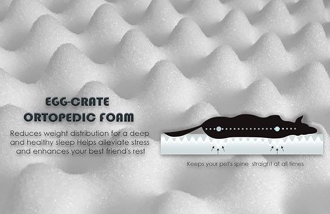 Orthopedic Dog Bed, Memory Foam Revisable Two Side with Washable Removable Cover, Small 20”x15”