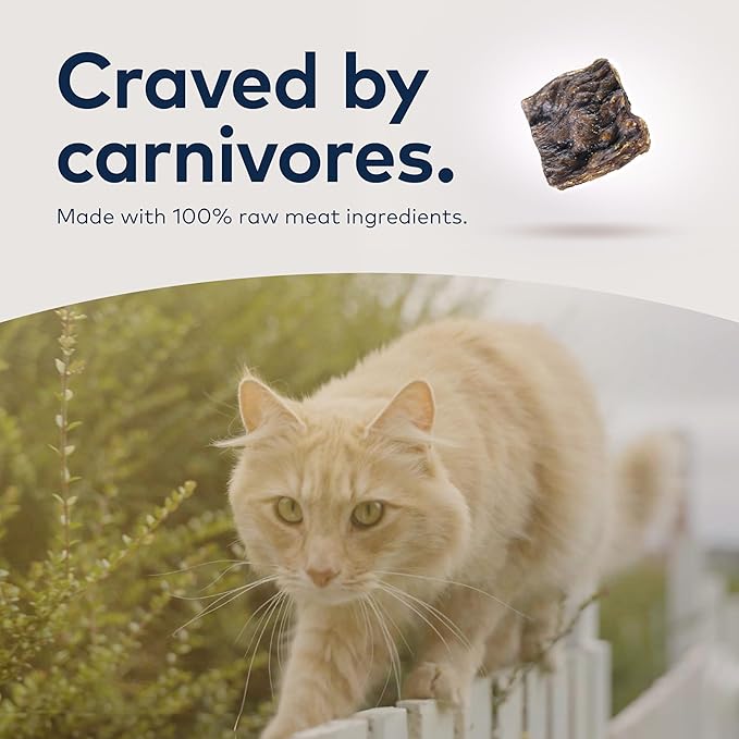 Bundle of ZIWI Peak Air-Dried Cat Food – All Natural, High Protein, Grain Free & Limited Ingredient with Superfoods (Beef, 14oz + Lamb, 14oz + Chicken, 14oz)