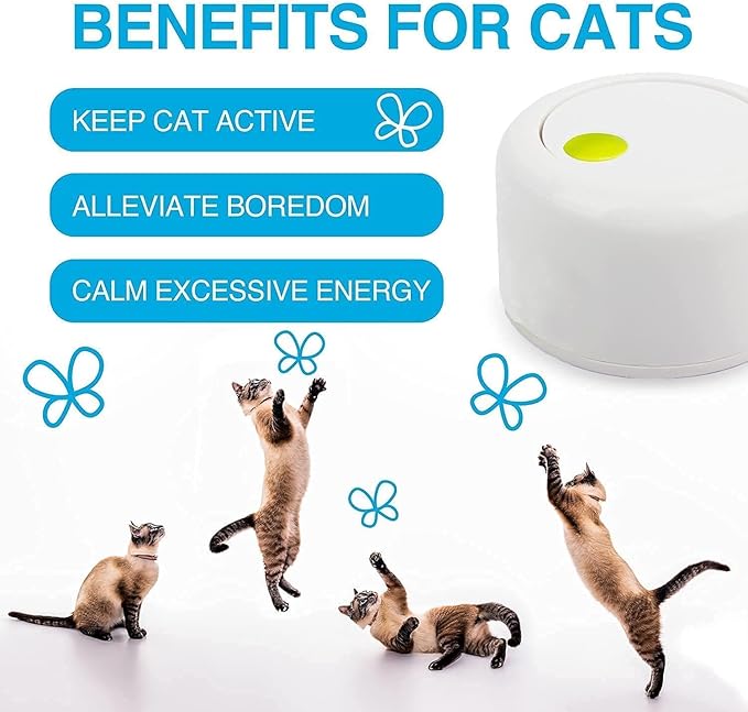 ALL FOR PAWS Interactives Cat Teaser Toy Catnip Toy Flutter Bug Cat Wand Toy Cat Fun Playing Toys Kitten Toys (Shiny Butterfly)