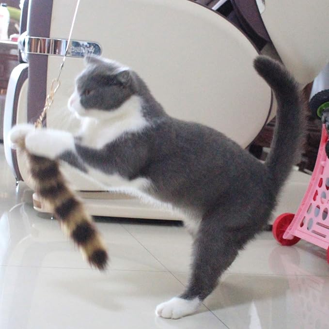 Fosrion Real Raccoon Tail Fur Cat Bites Toy with Three Section Retractable Carbon Fiber Rod (Raccoon, Tail & Fishing Rod)