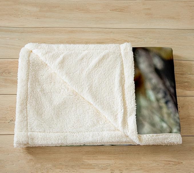 Green Frog Fleece Throw Blanket Tree Frog Plush Blanket for Sofa Couch Bed Wild Animal Theme Pattern Sherpa Blanket Wildlife Style Decor Fuzzy Blanket Room Decor Baby 30x40 Inch