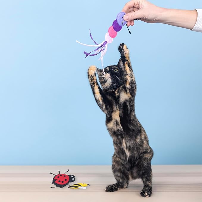 Fringe Studio "Living The Bug Life, Set of 3, Cat Toy Mini Sets, Pet Shop Collection (904041)