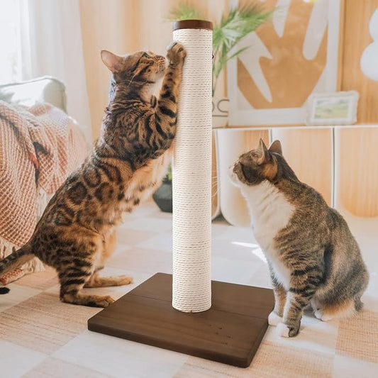 Necoichi 23.6” Tall Cat Scratching Post Kitten Scratcher Paper Rope Scratch Posts Trees with Hanging for Indoor Cats (23.6 inches for Kitty, Regular, Dark Cherry)