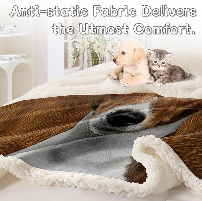 BlessLiving Basenji Throw Soft Blanket Sherpa Fleece Lined Blanket Pet and Dog Lovers Home Throw Blankets (Twin, 60 x 80 Inches)