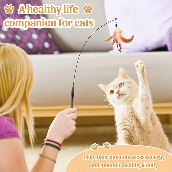 Interactive Cat Feather Toys Cat Teaser Wand Set and Hanging Cat Door Toys with 13pcs Cat Feather Replacement Toys Mice, Cat Toys Kitten Toys for Indoor