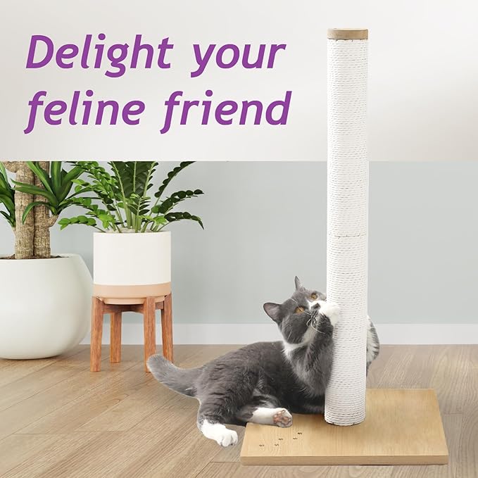 Necoichi 31.5” Tall Cat Scratching Post Kitten Scratcher Paper Rope Scratch Posts Trees with Hanging for Indoor Cats (31.5 inches for Adult Cats, Large, Oak)