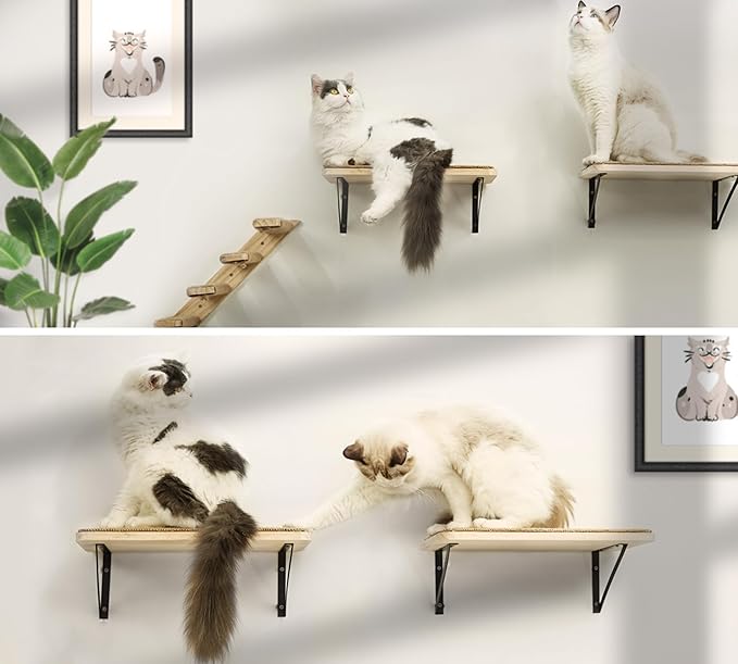 Cat Wall Shelves Stairs Cat Wall Furniture Mounted, 2PCS Cat Shelves & 2PCS 4 Steps Wall Climbing Shelves Scratching Perches for Sleeping, Playing, Climbing