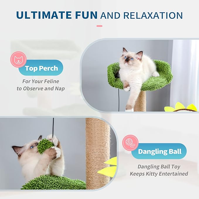Made4Pets Cactus Cat Tree, Green Cat Tower with Plush Perch for Small Indoor Kittens, Cat Scratcher with 2 Levels Platform for Kitty, Sunflower Scratching Pad and Sisal Post