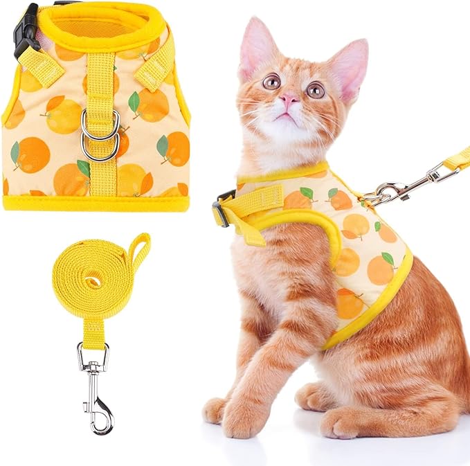 BINGPET Cat Harness with Leash Escape Proof - Fashionable Mesh Cat Dog Walking Harness Leads, Adjustable for Kitties Puppies Small Animals,Orange,S