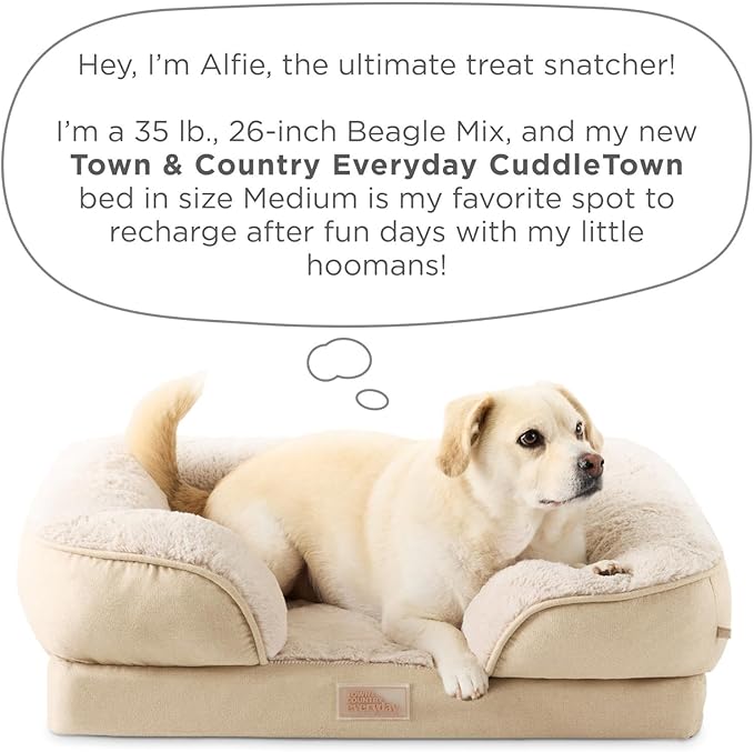 TOWN & COUNTRY EVERYDAY CuddleTown Comfy Solid Bolster Sofa Pet Bed, Supportive & Calming Egg Crate Foam, Water Repellent, Non-Slip Bottom, Machine Washable Cover, Grey, Medium 28"x23"x8"