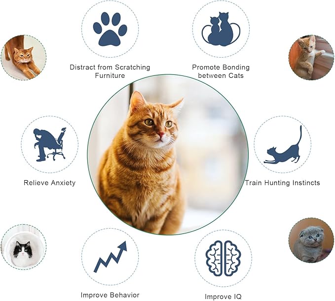 Cat Teaser Wand Toy, Cat Teasing Wand Collar Silicone Adjustable Cat Wand Toy Feather with Bell Cat Interactive Teaser Toys for Indoor Cat Kittens Playing Exercise (Blue)