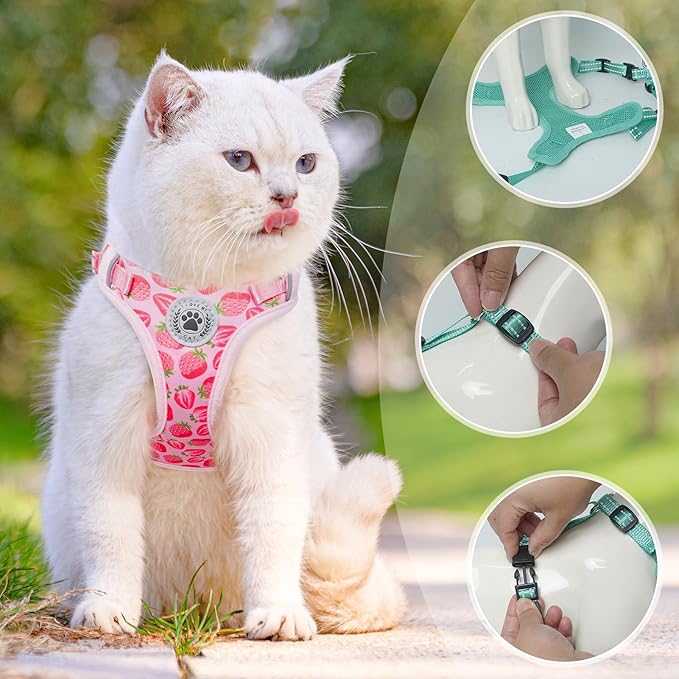 BEAUTYZOO Cat Harness and Leash Set for Walking Escape Proof, Neck Release Adjustable Harness for Kitten Puppy Small Medium Large Cats, Soft Cute Easy Control Small Cat Harness for Cats Boy and Girls