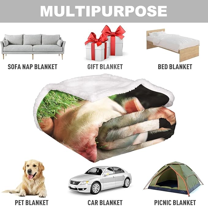 Pink Pigs Sherpa Blanket, Cute Piggy Fleece Throw Blankets for Couch Sofa Bed, Super Soft Warm and Lightweight, 50" x 60"