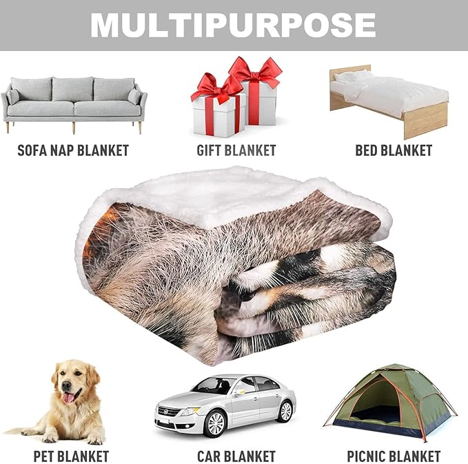 Raccoon Sherpa Blanket, Animal Print Fleece Throw Blankets for Couch Sofa Bed, Super Soft Warm and Lightweight, 50" x 60"