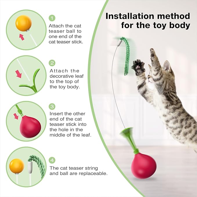 Cat Interactive Toys for Indoor Cats Kitten Tumbler Balls Kitty Feather Toy Teaser Wand String Birthday Gift US